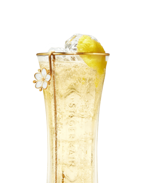 St-Germain Spritz — photo d’illustration